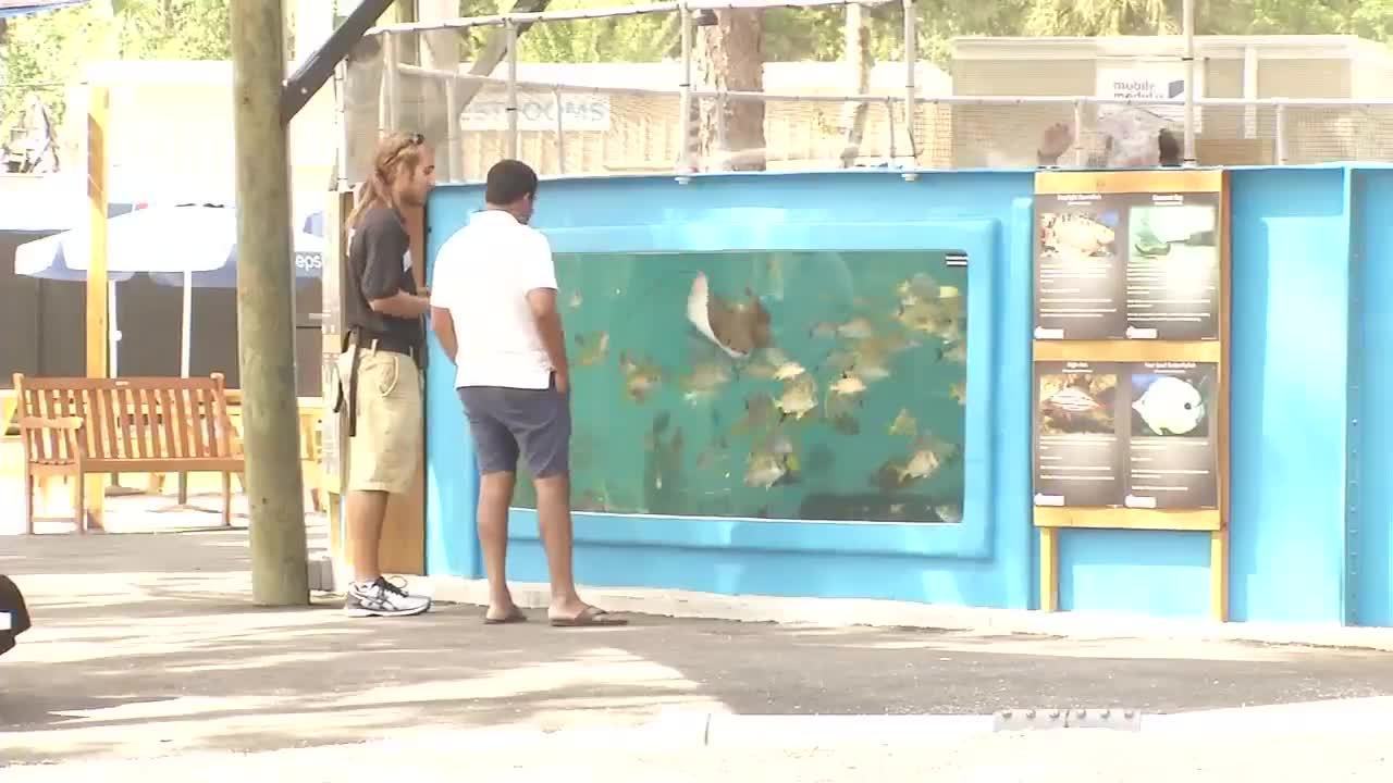 L'aquarium de St. Augustine, Floride